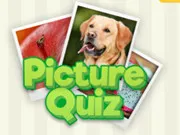 Picture Quiz gameplay preview