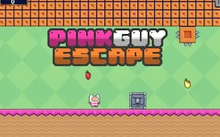 Pink Guy Escape gameplay preview