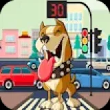 Pit Bull Avoid Traffic