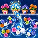 Pop Flower