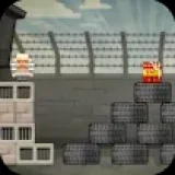 Prison Escape