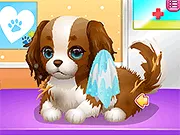 Puppy Whisperer gameplay preview