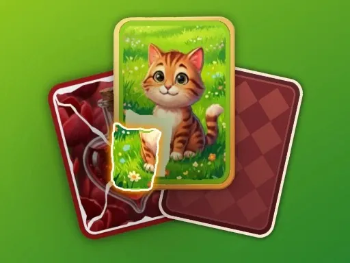 Puzzle Solitaire Picture Match gameplay preview