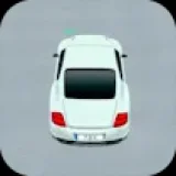 Real Car Parking 3D