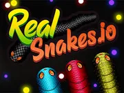 Real Snakes.io gameplay preview