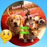 Round Jigsaw Puzzle Collect Pictures with Cute Puppies