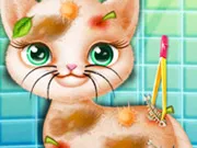 Save Stray Cat gameplay preview