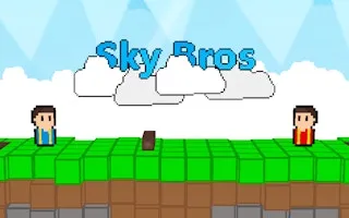Sky Bros - 2 Players gameplay preview