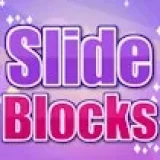 Slide Blocks Puzzle
