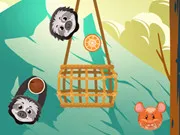 Slings To The Basket gameplay preview