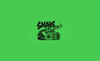 Snake 33 10 HTML5 gameplay preview