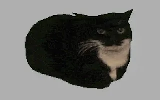 Spinning Cat Clicker gameplay preview