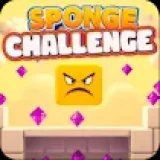Sponge Challenge