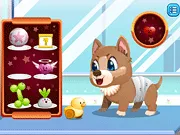 Stray Dog Care gameplay preview