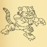 Tiger Coloring Book