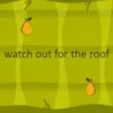 watch out for the roof